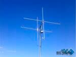 2192-BIG-SIGNAL-2BS-6.jpg